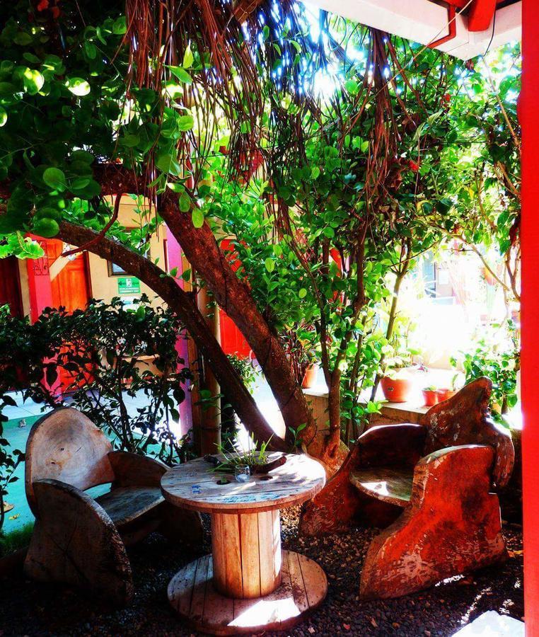 Hotel El Jardin ハコ エクステリア 写真